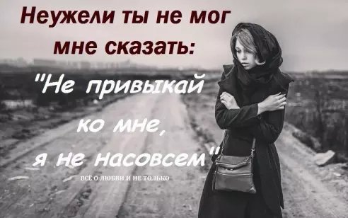 image(61)
