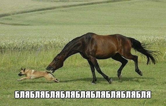 злая лошадь