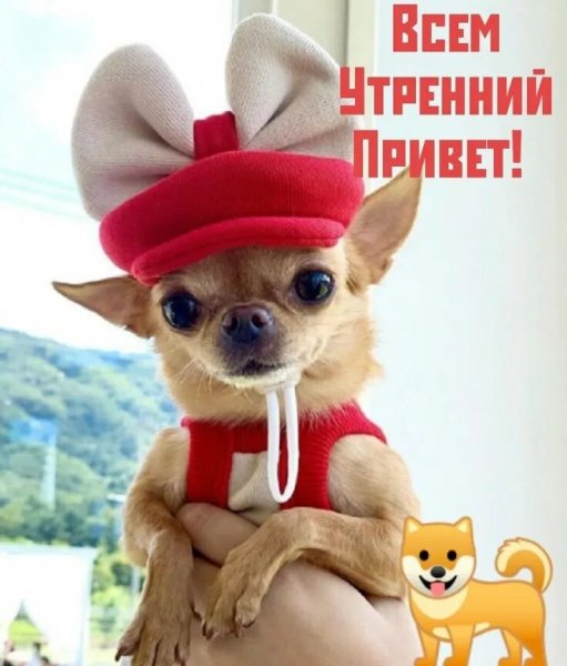 Доброе утро!