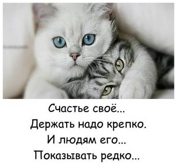 aPpt0PDsSv4