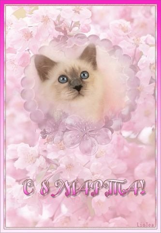getImage5536