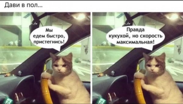 84b025df75 19990512
