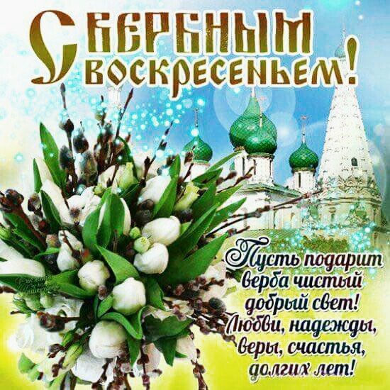 Верба 100000