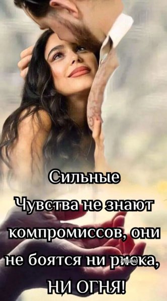 IMG 20241123 065845