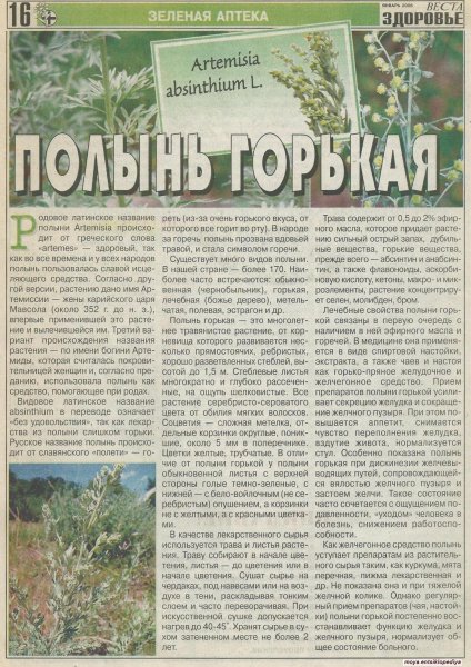 Полынь горькая