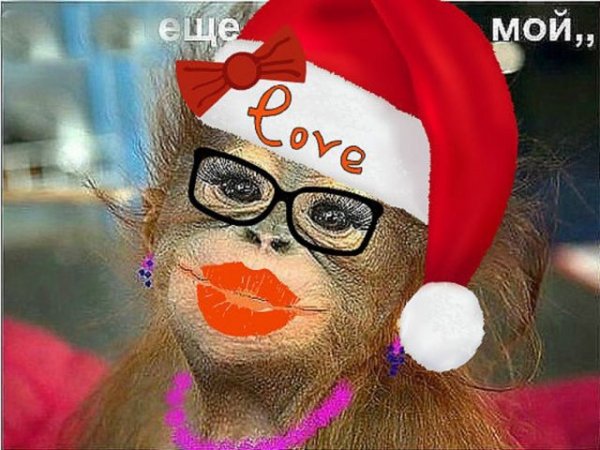 getImage