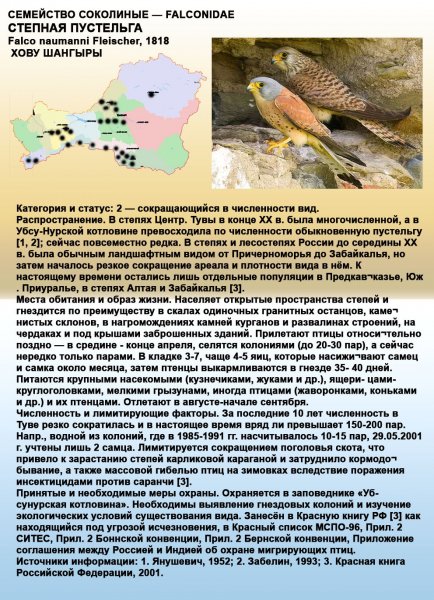 Степная-пустельга