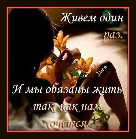 image-18