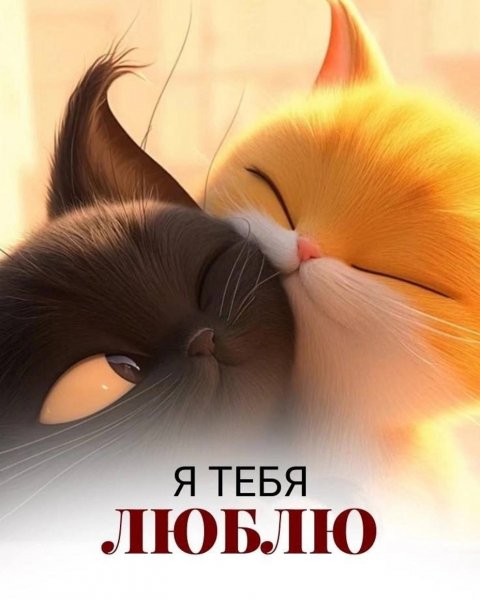 picture_389892312