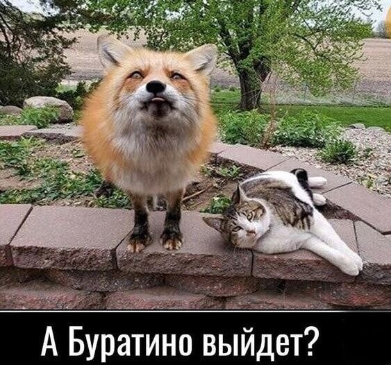 61e6d8d8134c1a665f