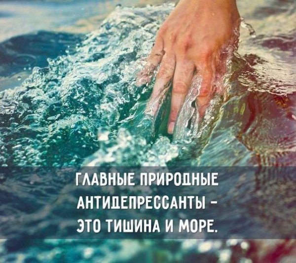 picture_278878289