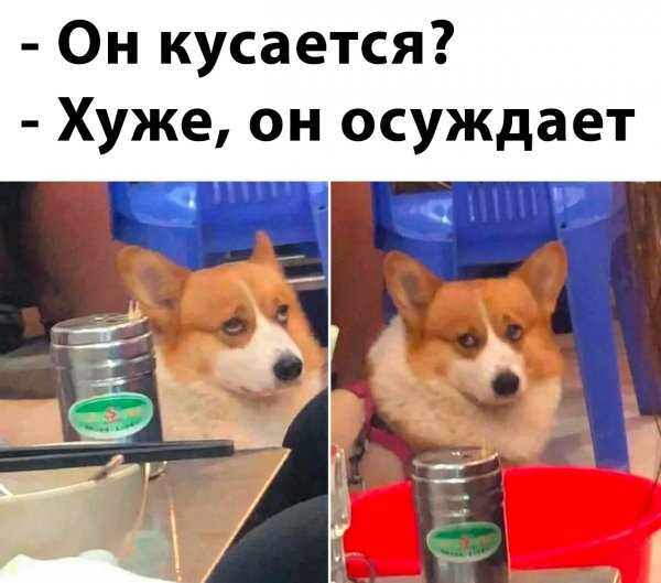 Он осуждает