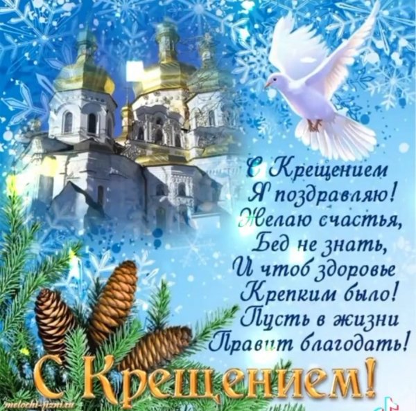 IMG-20240119-WA0024