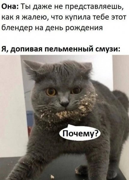 picture_407378757