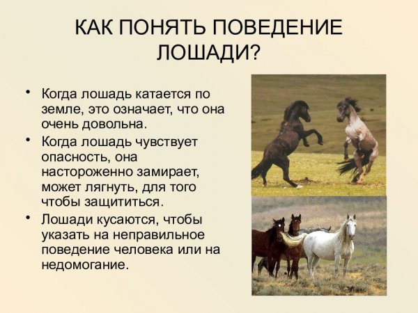 (""""")