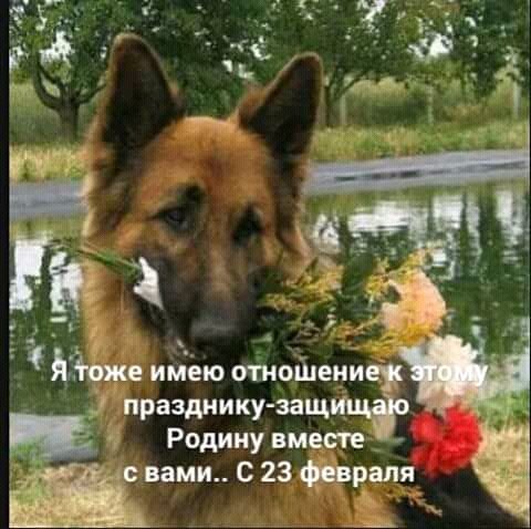 FB IMG 15193970748274260