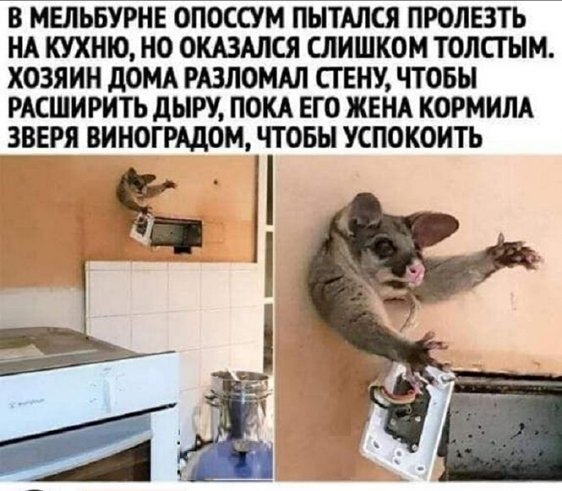 Славный такой проказник) Молодцы что покормили его)