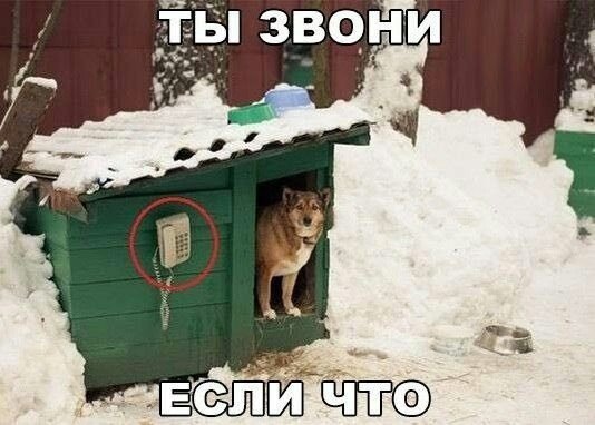 REsZqFe5WwM
