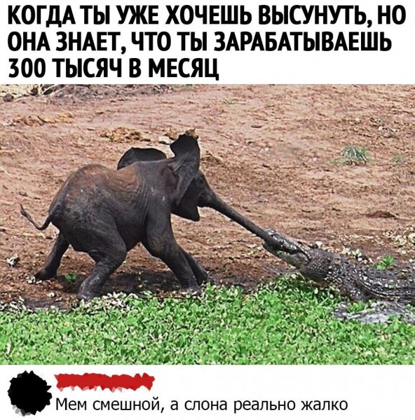 IMG 20200729 184647 038