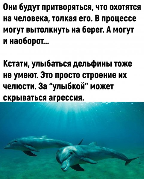 NIUpEyvkORk