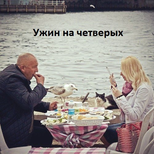 Images 9653