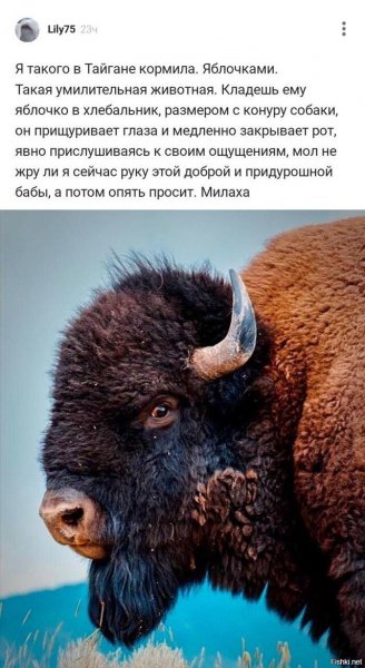 )