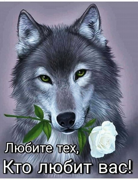 любовь 018600