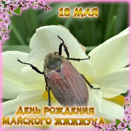 Изображение viber 2023-05-18 06-24-51-466