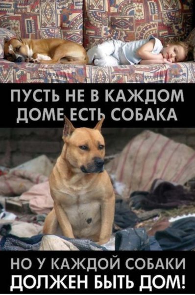 Да будет так!!!