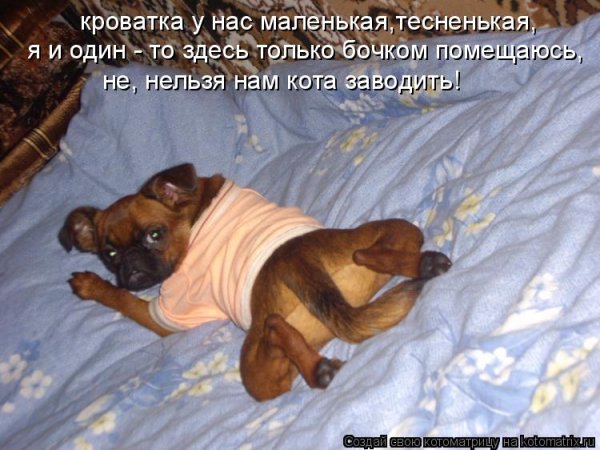 Да! ))