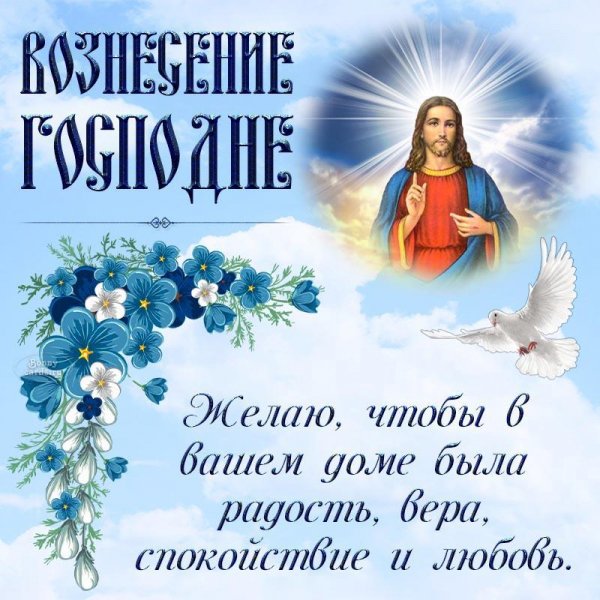 IMG-20240613-WA0010