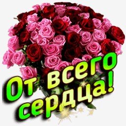 розы