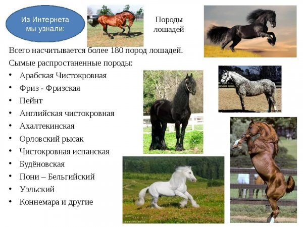 Мы узнали