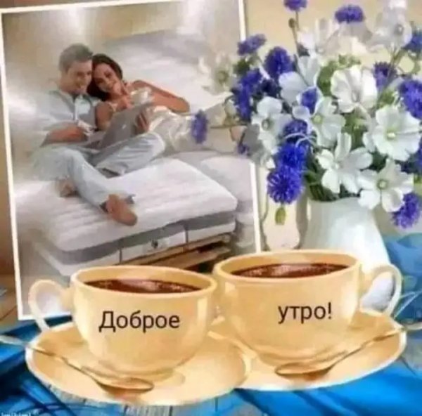 Img 1 1731486409922