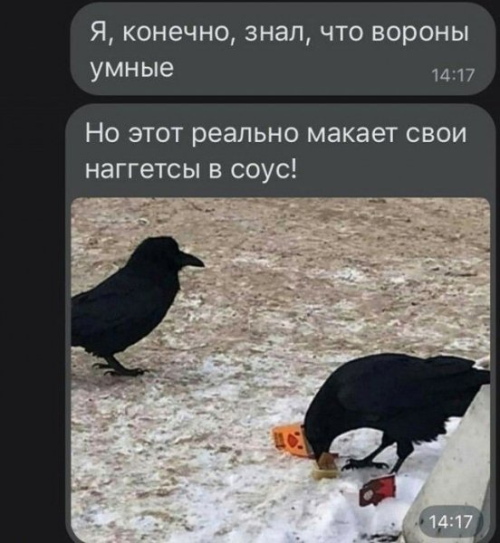Ненуачо?