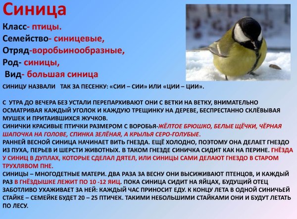 Синица