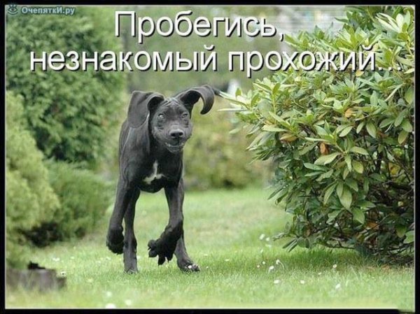 Пробегись...