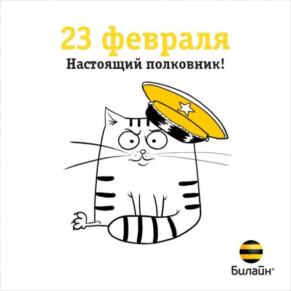 vBSqbckFoW4