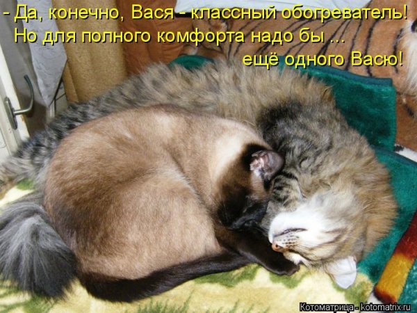 picture_414345873