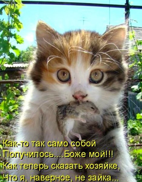 Глюк