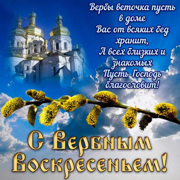 IMG-20230409-WA0000