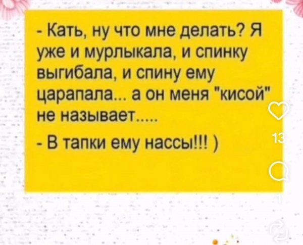 IMG 20260521 173500