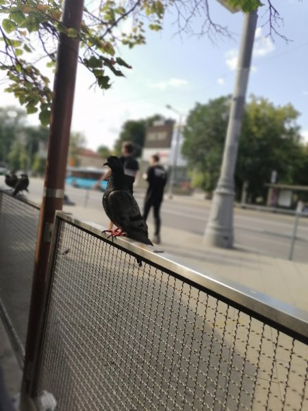 Москва