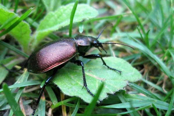 abb8ab47c39cef25815ff504