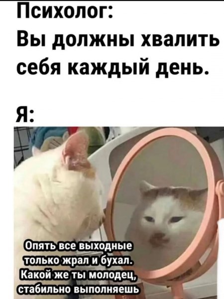1ena ne 1ena 69f52d7e2532472181973398f1b174e1