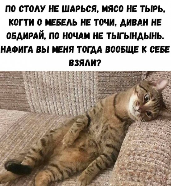 IMG 20260805 160836 496