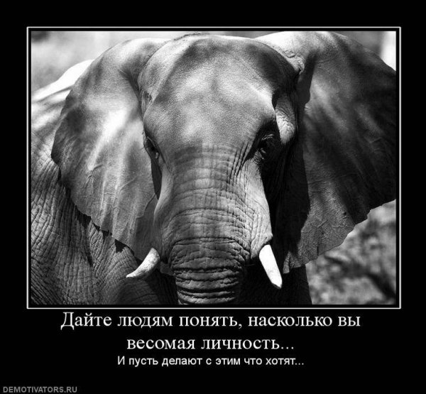 Demotivator (25)