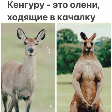 Saved Images 418190299 p 0 360 0
