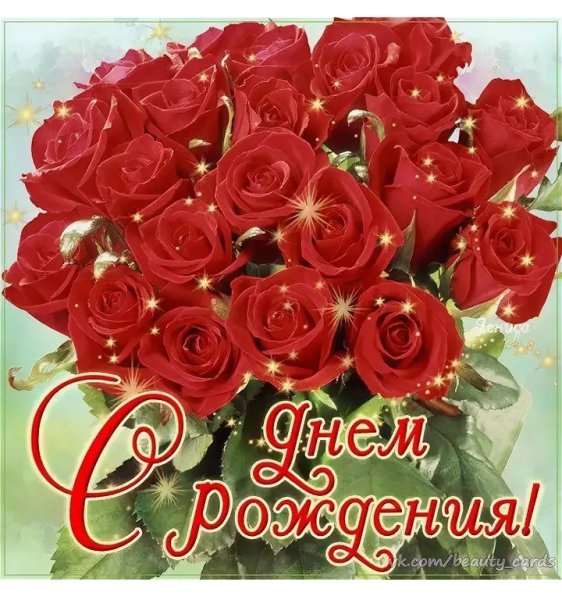 IMG-20191101-WA0008
