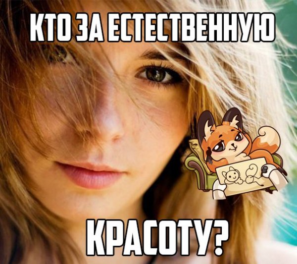 pribpMYn NM